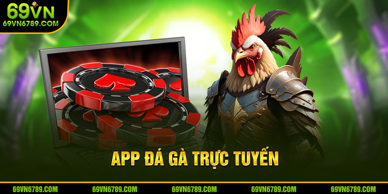 App Đá Gà Trực Tuyến 69VN - Đỉnh Cao Cá Cược Chọi Kê