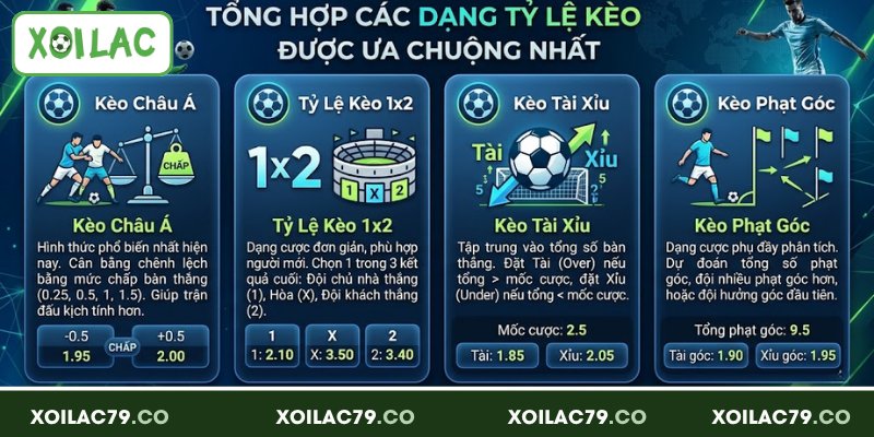 Tỷ Lệ Kèo - Cập Nhật Chuẩn Xác, Phân Tích Chi Tiết Mỗi Ngày 48 Tổng hợp các dạng tỷ lệ kèo được ưa chuộng nhất